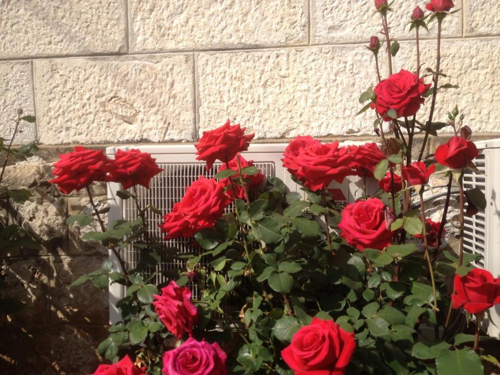 Appartement Flora *